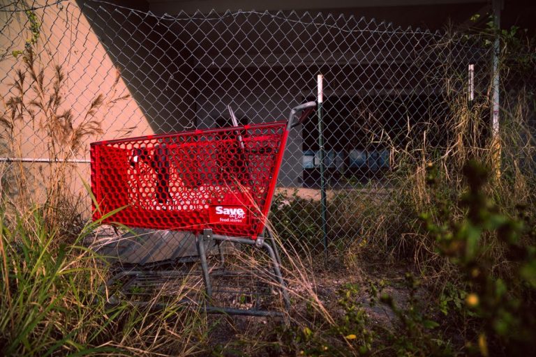 What a WooCommerce Store Owner Loses When a $5 VPS Runs Out of RAM on a Sale Day